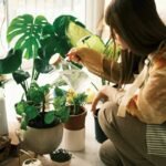 Kin from Another Kingdom